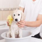 ¿Cómo limpiar a un cachorro que no se puede bañar?