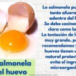 ¿Cómo se ve la salmonella en un huevo?