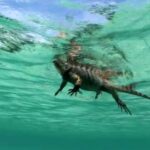 ¿Cuál es el depredador natural de la iguana?