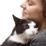 ¿Qué significa si tu gato te huele?