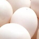 ¿Qué beneficios tiene los huevos de pato?