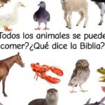 ¿Qué es un animal impuro según la Biblia?
