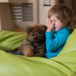 ¿Qué raza de perro es recomendable para niños alergicos?