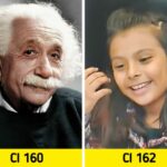 ¿Quién tiene más IQ Albert Einstein?